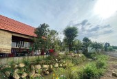 BÁN GẤP 2 MT VIEW SUỐI (320M2) TC SHR, DT756, CÔNG NGHIỆP 900M, KẾ CHỢ DÂN ĐÔNG, GIÁ 205TR