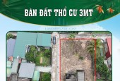 CHÍNH CHỦ BÁN ĐẤT THỔ CƯ 3MT NGAY CỤM CÔNG NGHIỆP THĂNG THỌ