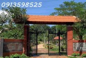 Cần tiền cho con đi XKLD bán nhà vườn 2300m2, 300 tr, có nhà cấp 4 và vườn cây trái.