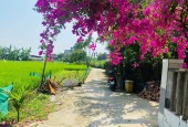 Đất Đại Nghĩa - Đại Lộc giá sập hầm