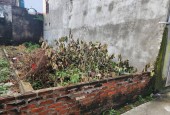 CẦN BÁN LÔ  GÓC ĐẤT LIÊN KỀ THỊ TRẤN ĐÔNG HƯNG GIÁ 1.23 TỶ