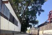 Cho thuê kho mặt đường Liên Ninh, Thanh Trì, Diện tích 200m2, Giá 10 triệu/tháng