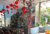 BÁN NHÀ 3 TẦNG MẶT TIỀN KINH DOANH ĐƯỜNG ĐỒNG NAI PHƯỜNG PHƯỚC HẢI NHA TRANG