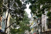Linh Lang Đào Tấn - ô tô vào nhà - Kinh doanh - 100m nhỉnh 30 tỷ