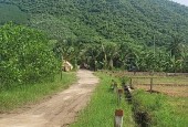 ĐẤT CHÍNH CHỦ GIÁ RẺ TẠI DIÊN TÂN, DIÊN KHÁNH CẦN BÁN NHANH