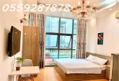 Chủ nhà cần bán CCMN Hồ Tùng Mậu - giá nhỉnh 15 tỷ - dòng tiền 75tr/tháng