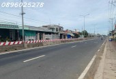Bán đất thổ cư 247m2, Tỉnh lộ 825d, Long Định, Long An - 1.54 tỷ