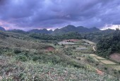 Cần bán cắt lỗ mảnh đất rộng 8000m2 tại Mường Sang Mộc Châu, rất phù hợp làm Farmstay.