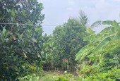 BÁN ĐẤT MẶT ĐƯỜNG THÔN THÁI CÔNG BẮC XÃ VŨ CÔNG KIẾN XƯƠNG. DIỆN TÍCH 80M2 . GIÁ 850 TRIỆU