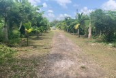Bán 50.000m² đất nền dự án Tây Giang, Tiền Hải, Thái Bình - 18 tỷ, sổ đỏ