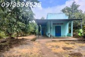 1500m2 giá 300 triệu, nhà chòi nhậu bao mát