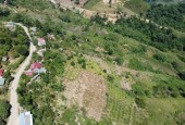 Đất nền Vân Hồ Sơn La giá rẻ cần thanh khoản gấp. 5000m2 giá đầu tư chưa đến hai tỷ.