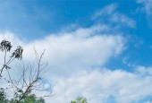 MUA BÁN ĐẤT VƯỜN CÓ SUỐI ĐẸP TẠI KHÁNH HOÀ