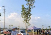 BÁN ĐÂT BẠCH ĐA, KIM HOA - HUYỆN MÊ LINH - HÀ NỘI