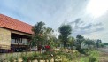 BÁN GẤP 2 MT VIEW SUỐI (320M2) TC SHR, DT756, CÔNG NGHIỆP 900M, KẾ CHỢ DÂN ĐÔNG, GIÁ 205TR