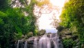 Bán đất vườn, đất nghỉ dưỡng tại Ba Vì từ 500m2 đến vài hecta giá chỉ từ hơn 2 tỷ LH 0975555334