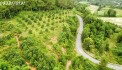 Đất FULL Thổ- Đườn 13m- Cách Đinh Tiên Hoàng 200m- Giá Chỉ 910 triệu- Mua SIÊU LÃI