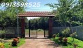 Cần tiền cho con đi XKLD bán nhà vườn 2300m2, 300 tr, có nhà cấp 4 và vườn cây trái.