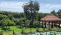 Cần tiền cho con đi XKLD bán nhà vườn 2300m2, 300 tr, có nhà cấp 4 và vườn cây trái.