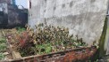 CẦN BÁN LÔ  GÓC ĐẤT LIÊN KỀ THỊ TRẤN ĐÔNG HƯNG GIÁ 1.23 TỶ