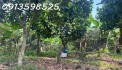 1500m2 giá 300 triệu, nhà chòi nhậu bao mát