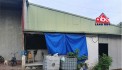 XT426 nhà xưởng sản xuất nhiều ngành nghề, kho lưu trữ hàng hóa, bàn giao liền