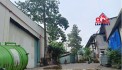 XT426 nhà xưởng sản xuất nhiều ngành nghề, kho lưu trữ hàng hóa, bàn giao liền