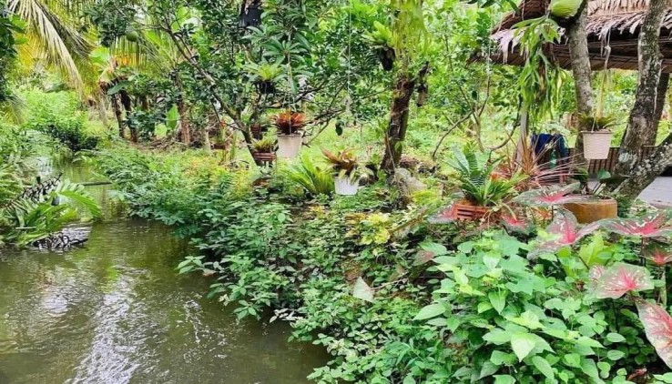 Vỡ nợ cần bán lỗ 3500 m2. giá 310tr đường 10m, có nhà vườn nhỏ.