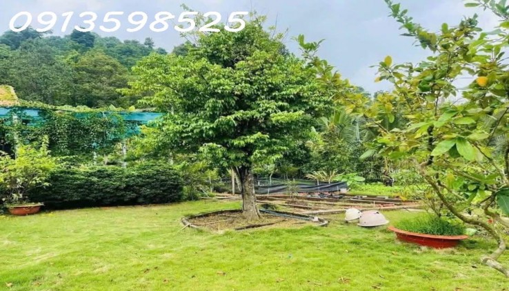 Nhà vườn nghỉ dưỡng 1500M2 bán đủ 290TR, có nhà vườn cây trái Sổ Sẵn lh: 0913598525