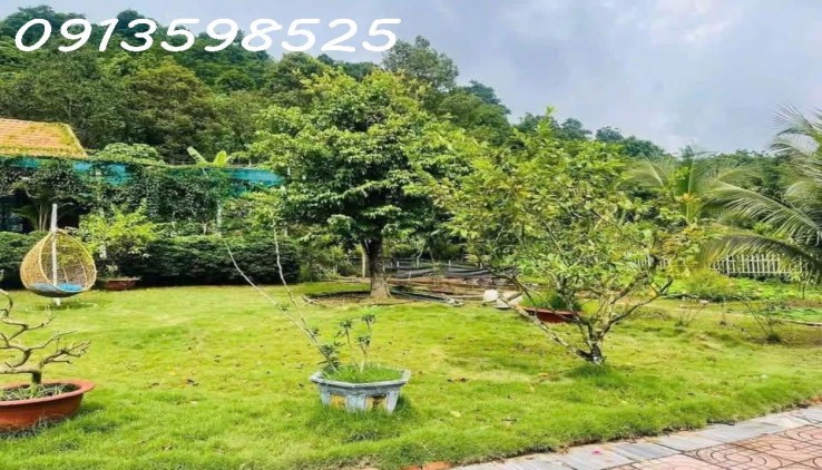 Nhà vườn nghỉ dưỡng 1700M2 bán đủ 290TR Sổ Sẵn lh: 0913598525