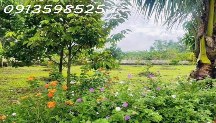 Nhà vườn nghỉ dưỡng 1700M2 bán đủ 290TR Sổ Sẵn lh: 0913598525