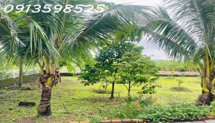 Nhà vườn nghỉ dưỡng 1700M2 bán đủ 290TR Sổ Sẵn lh: 0913598525