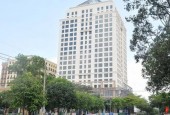 Cho Thuê Căn Hộ Officetel Tại Dự Án Golden King Số 15 Nguyễn Lương Bằng Phường Tân Phú Quận 7