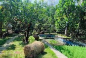 Vỡ nợ cần bán lỗ 3500 m2. giá 310tr đường 10m, có nhà vườn nhỏ.