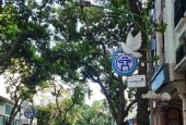Siêu phẩm Ba Đình - 70m - lô góc - 6 tầng thang máy - Kinh doanh - 19 tỷ