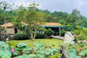 Nhà vườn nghỉ dưỡng 1700M2 bán đủ 290TR Sổ Sẵn lh: 0913598525