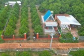 CẦN BÁN GẤP LÔ ĐẤT 1450M2 ĐÃ LÊN THỔ CƯ GIÁ CHỈ 350 TRIỆU