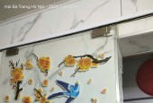 Bán gấp giá rẻ căn hộ tầng 1 khép kín Bùi Ngọc Dương 20m, mặt tiền 4m, 1.1 tỷ Hai Bà Trưng.