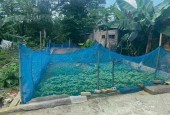 Bán đất tại TĐC Vai Réo, 93m2  giá 3.7 tỷ. Đất nằm trong lõi đô thị vệ tinh Hoà Lạc