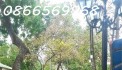 NHÀ ĐẸP PHỐ CỔ CỬA BẮC, BA ĐÌNH, 62M, MT 6M, Ô TÔ SÁT NHÀ, Ô CHỜ THANG MÁY, 18.45 TỶ