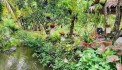 Vỡ nợ cần bán lỗ 3500 m2. giá 310tr đường 10m, có nhà vườn nhỏ.