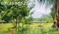 Nhà vườn nghỉ dưỡng 1700M2 bán đủ 290TR Sổ Sẵn lh: 0913598525