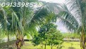 Nhà vườn nghỉ dưỡng 1700M2 bán đủ 290TR Sổ Sẵn lh: 0913598525