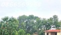 NHÀ ĐẸP PHỐ CỔ CỬA BẮC, BA ĐÌNH, 62M, MT 6M, Ô TÔ SÁT NHÀ, Ô CHỜ THANG MÁY, 18.45 TỶ