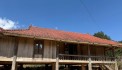 9000m2 tại Sò Lườn Mường Sang Mộc Châu cần bán cắt lỗ cuối năm, giá chỉ hơn 800k/m2.
