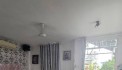 Ô TÔ ĐỖ CỬA - TẶNG FULL NỘI THẤT & CÂY CẢNH; DIỆN TÍCH 86M2 NGANG 5M. CHỈ 9.2 TỶ [P3Q8].