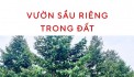 CHÍNH CHỦ - BÁN NHANH ĐẤT TẠI THỊ XÃ CAI LẬY, TIỀN GIANG CHỈ 5,3 TỶ 3000M2