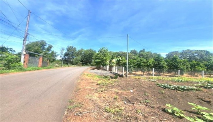 Bán lô đất 509.1m2 thổ cư xã Cẩm Giang Gò Dầu Tây Ninh, chỉ 495 triệu