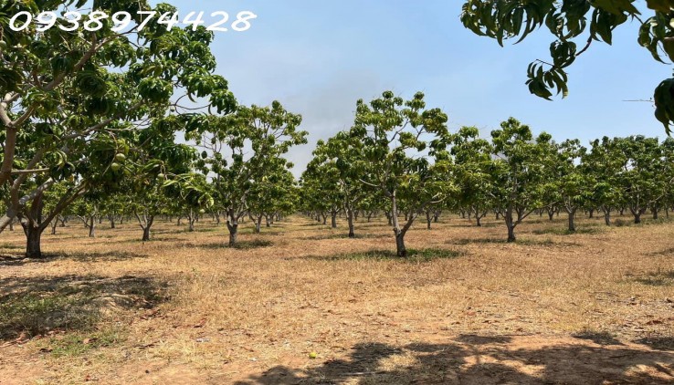 bán 14 ha. Đất tại xã Quãng Sơn - huyện Ninh Sơn. Ninh Thuận
0938974428