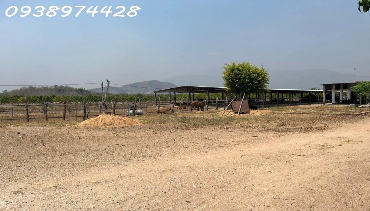 bán 14 ha. Đất tại xã Quãng Sơn - huyện Ninh Sơn. Ninh Thuận
0938974428